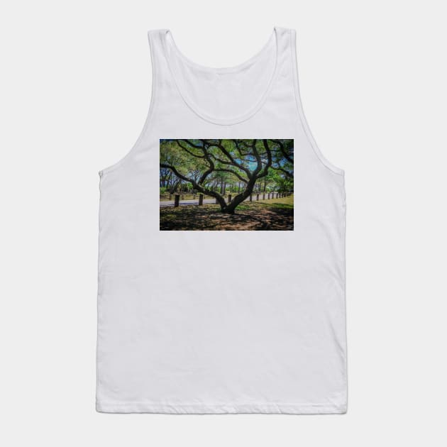 Shape of South Carolina in a Tree Tank Top by Ckauzmann